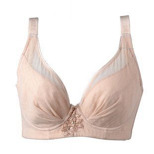 內衣的基本構造,男同胞要多學學