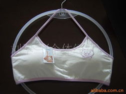 長沙女式內衣相關產品